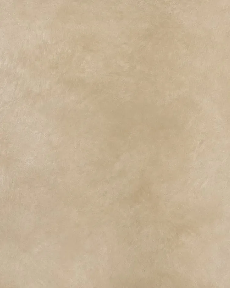 Close-up of warm sand limewash with soft, cloudy tonal movement